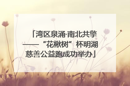 湾区泉涌·南北共擎——“花楸树”杯明湖慈善公益跑成功举办
