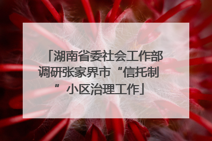 湖南省委社会工作部调研张家界市“信托制”小区治理工作