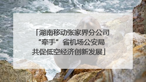 湖南移动张家界分公司“牵手”省机场公安局 共促低空经济创新发展