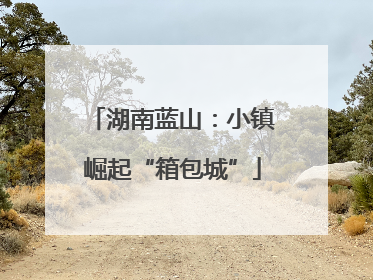 湖南蓝山：小镇崛起“箱包城”