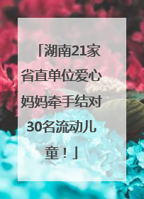 湖南21家省直单位爱心妈妈牵手结对30名流动儿童！