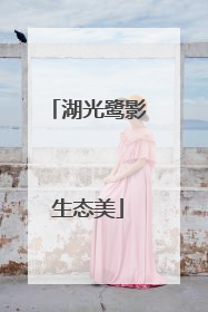 湖光鹭影生态美