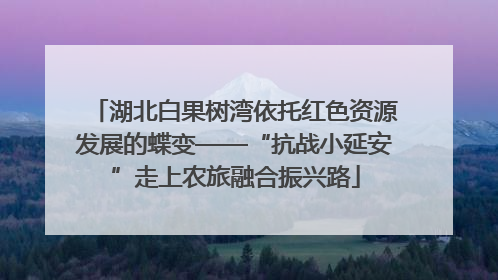 湖北白果树湾依托红色资源发展的蝶变——“抗战小延安”走上农旅融合振兴路