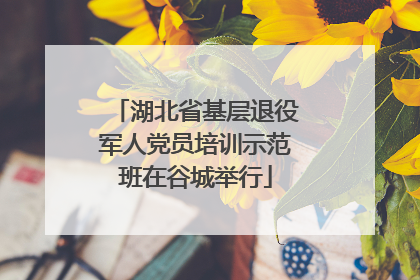 湖北省基层退役军人党员培训示范班在谷城举行
