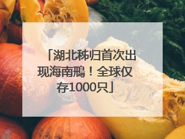 湖北秭归首次出现海南鳽！全球仅存1000只