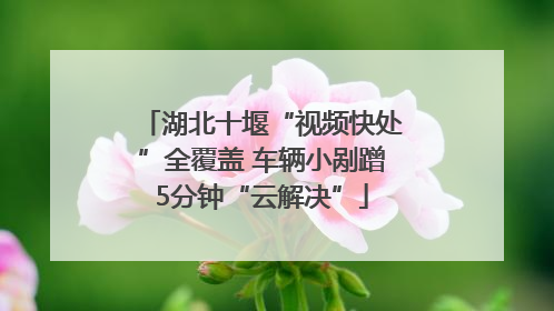 湖北十堰“视频快处”全覆盖 车辆小剐蹭5分钟“云解决”