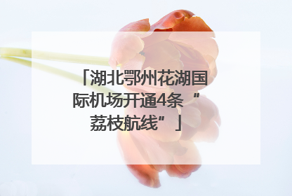湖北鄂州花湖国际机场开通4条“荔枝航线”