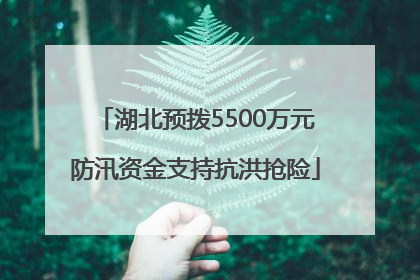 湖北预拨5500万元防汛资金支持抗洪抢险