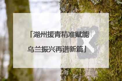 湖州援青精准赋能 乌兰振兴再谱新篇