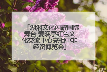 湖湘文化闪耀国际舞台 爱晚亭红色文化交流中心亮相中非经贸博览会