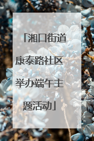 湘口街道康泰路社区举办端午主题活动