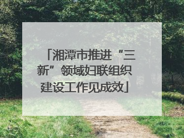 湘潭市推进“三新”领域妇联组织建设工作见成效