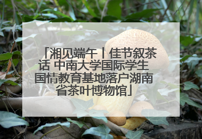 湘见端午丨佳节叙茶话 中南大学国际学生国情教育基地落户湖南省茶叶博物馆