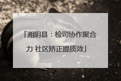 湘阴县：检司协作聚合力 社区矫正提质效
