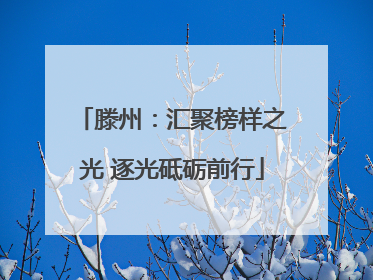 滕州：汇聚榜样之光 逐光砥砺前行