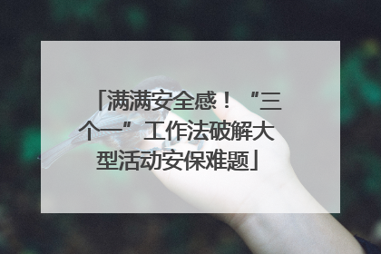 满满安全感！“三个一”工作法破解大型活动安保难题