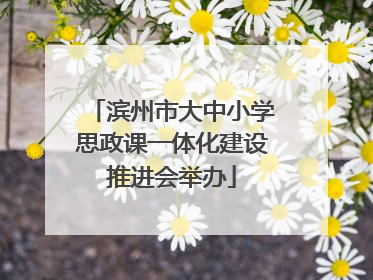 滨州市大中小学思政课一体化建设推进会举办