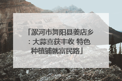 漯河市舞阳县姜店乡：大蒜喜获丰收 特色种植铺就富民路