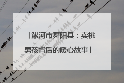 漯河市舞阳县：卖桃男孩背后的暖心故事
