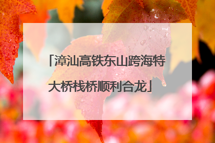 漳汕高铁东山跨海特大桥栈桥顺利合龙