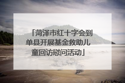 菏泽市红十字会到单县开展基金救助儿童回访慰问活动