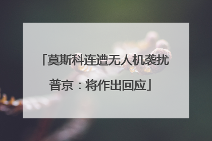 莫斯科连遭无人机袭扰 普京：将作出回应