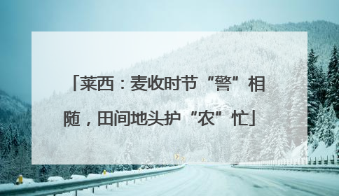 莱西：麦收时节“警”相随，田间地头护“农”忙