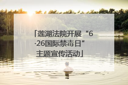 莲湖法院开展“6·26国际禁毒日”主题宣传活动