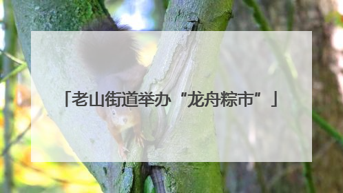 老山街道举办“龙舟粽市”