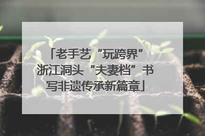 老手艺“玩跨界” 浙江洞头“夫妻档”书写非遗传承新篇章