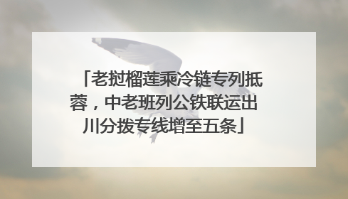 老挝榴莲乘冷链专列抵蓉，中老班列公铁联运出川分拨专线增至五条