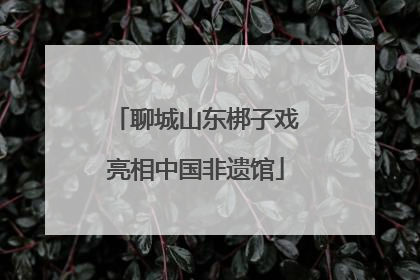 聊城山东梆子戏亮相中国非遗馆