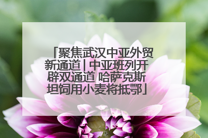 聚焦武汉中亚外贸新通道│中亚班列开辟双通道 哈萨克斯坦饲用小麦将抵鄂