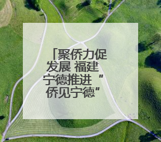 聚侨力促发展 福建宁德推进“侨见宁德”品牌建设