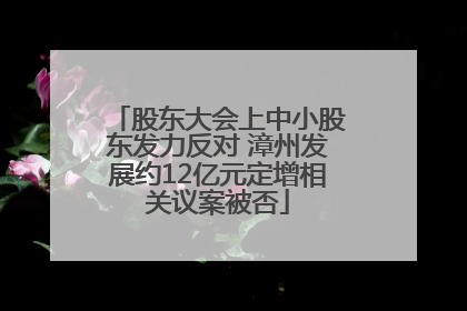股东大会上中小股东发力反对 漳州发展约12亿元定增相关议案被否