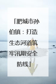 肥城市孙伯镇：打造生态河道筑牢汛期安全防线
