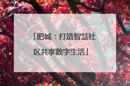 肥城：打造智慧社区共享数字生活