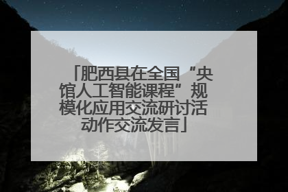 肥西县在全国“央馆人工智能课程”规模化应用交流研讨活动作交流发言