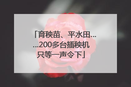育秧苗、平水田……200多台插秧机只等一声令下