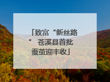致富“新丝路” 苍溪县首批蚕茧迎丰收