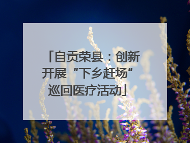 自贡荣县：创新开展“下乡赶场”巡回医疗活动