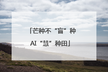 芒种不“盲”种 AI“慧”种田