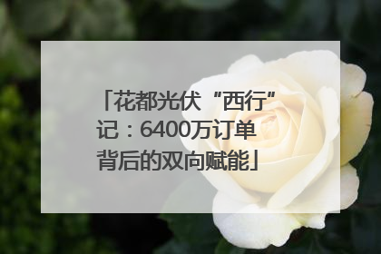 花都光伏“西行”记：6400万订单背后的双向赋能