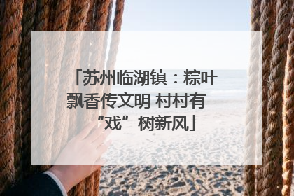 苏州临湖镇：粽叶飘香传文明 村村有“戏”树新风