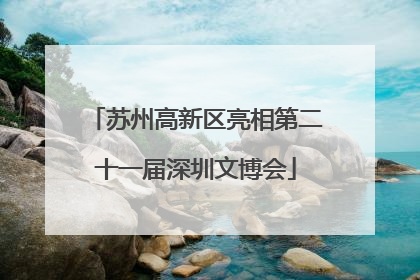 苏州高新区亮相第二十一届深圳文博会