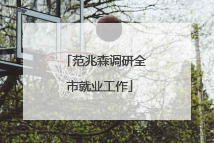 范兆森调研全市就业工作