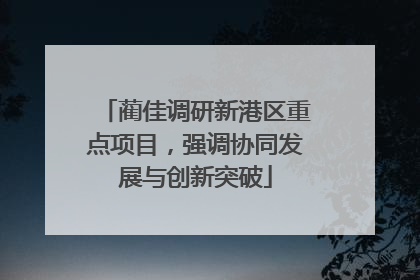 蔺佳调研新港区重点项目，强调协同发展与创新突破