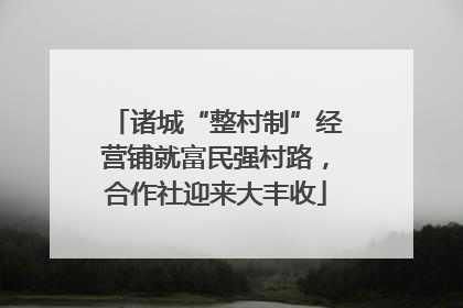 诸城“整村制”经营铺就富民强村路，合作社迎来大丰收