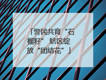 警民共育“石榴籽” 辖区绽放“团结花”