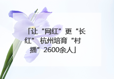 让“网红”更“长红” 杭州培育“村播”2600余人